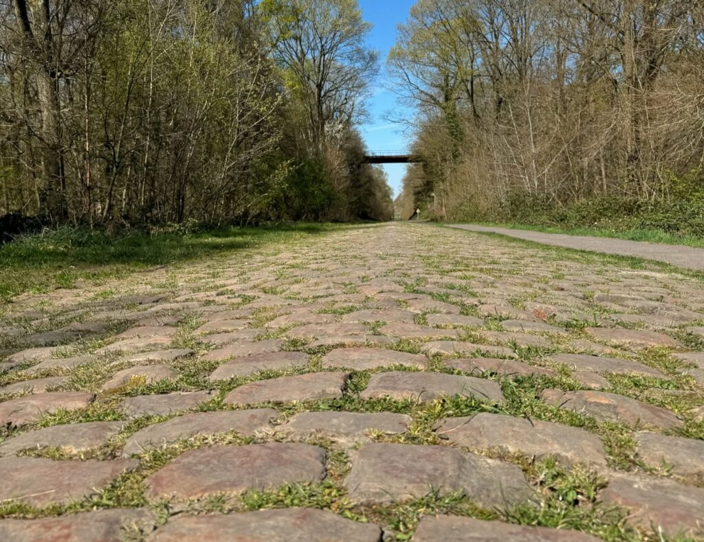 Tout savoir sur les secteurs pav&eacute;s de Paris-Roubaix 2025 : longueur, difficult&eacute;&hellip;