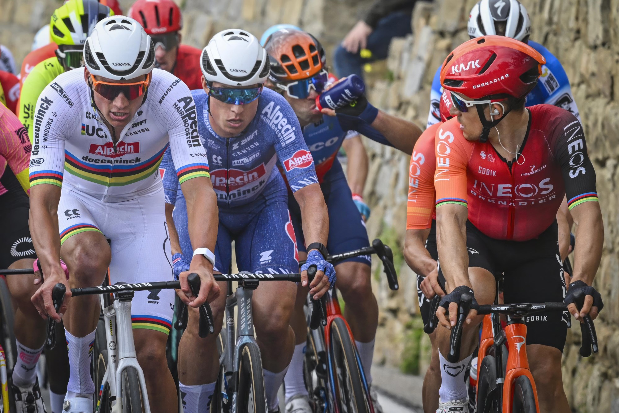 Amstel Gold Race 2024 - Les participants et les favoris - TotalVelo