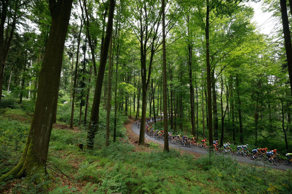 Le parcours d&eacute;taill&eacute; et les profils du Tour de Tch&eacute;quie 2025