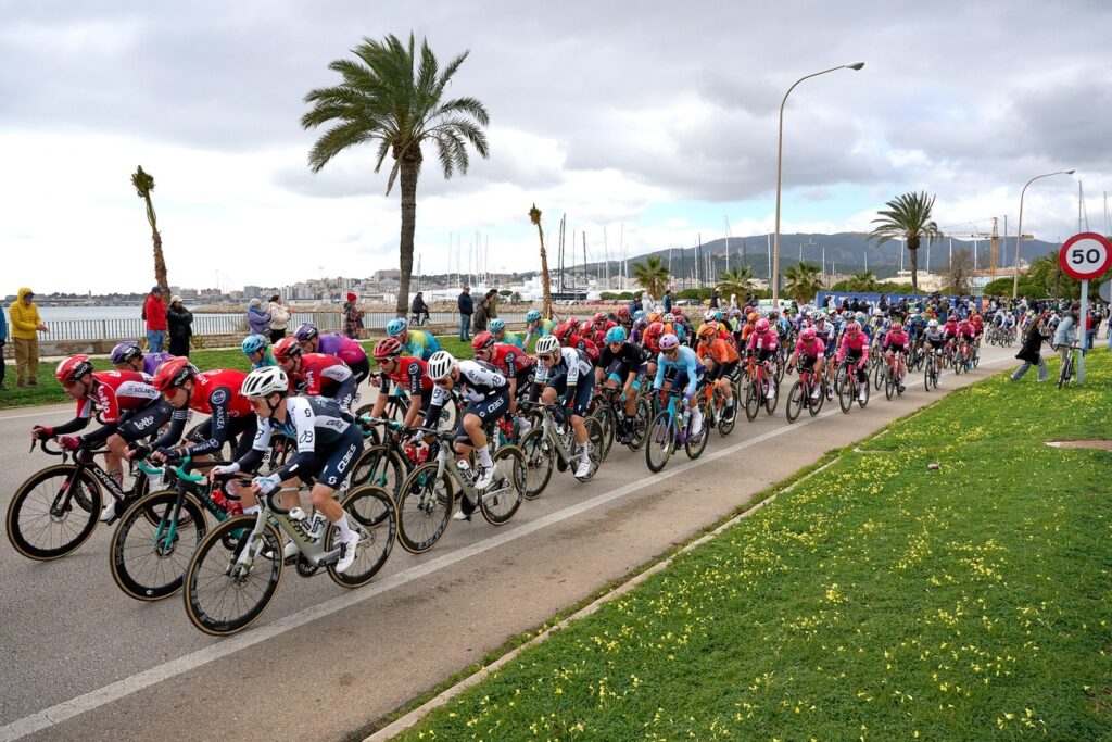 La pr&eacute;sentation du Trofeo Palma 2026 : parcours, engag&eacute;s, diffusion TV et live streaming