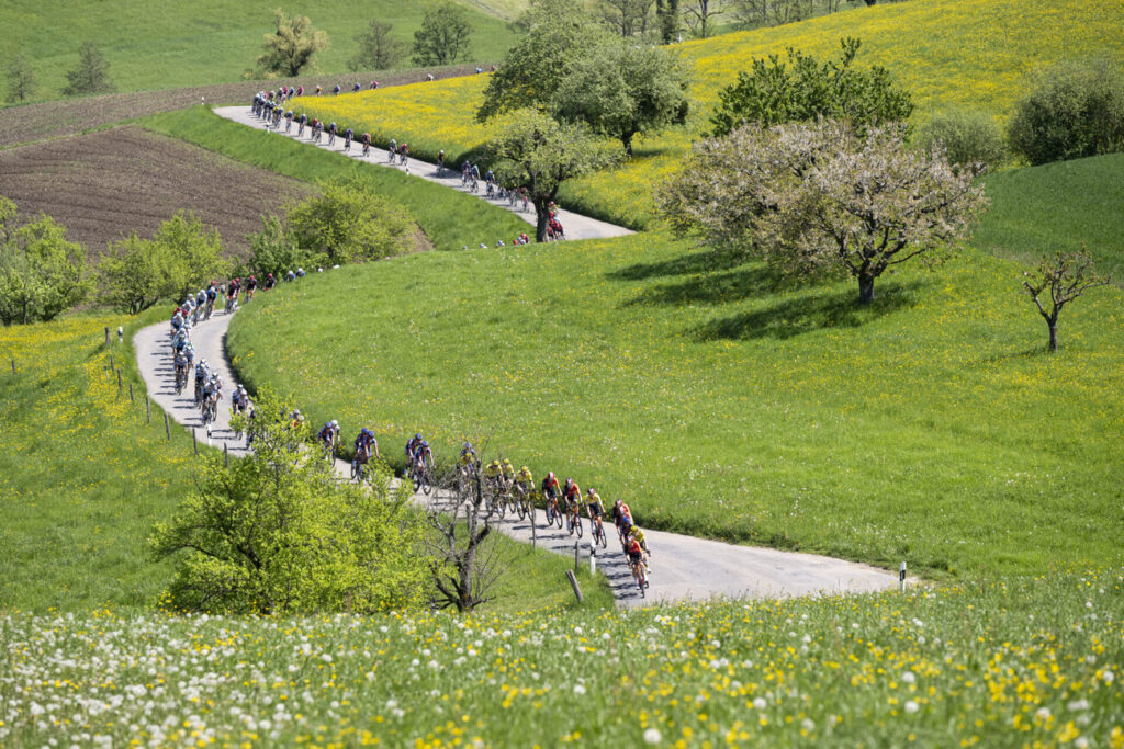 Le parcours d&eacute;taill&eacute; et les profils d&rsquo;&eacute;tapes du Tour de Romandie 2026